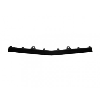 Tampon Çitası W212 Ön Orta; Siyah -AMG- 2013-15